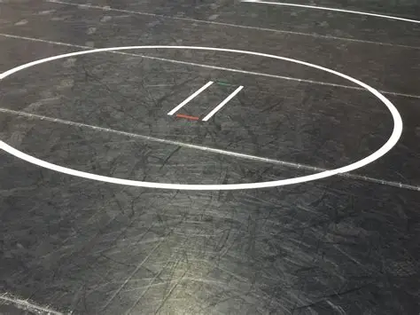 Wrestling action